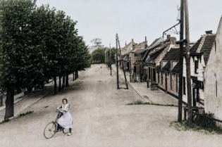 kaashoekgenealogie.nl