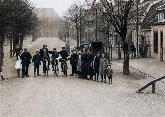 kaashoekgenealogie.nl