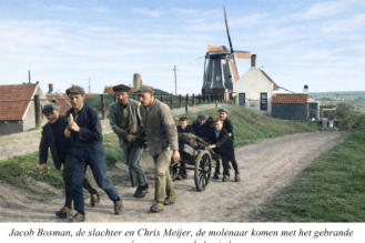 kaashoekgenealogie.nl