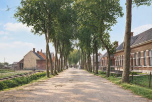 kaashoekgenealogie.nl