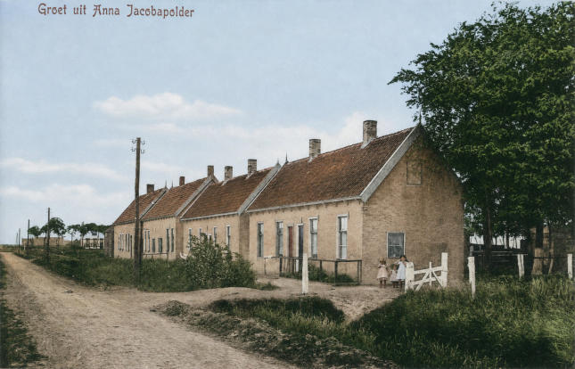 kaashoekgenealogie.nl