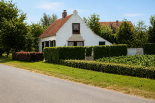 kaashoekgenealogie.nl