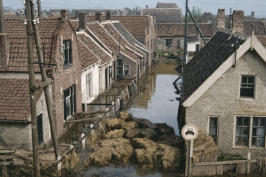 kaashoekgenealogie.nl
