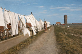 kaashoekgenealogie.nl