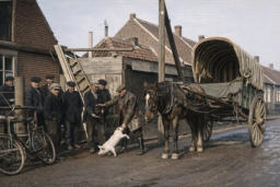 kaashoekgenealogie.nl