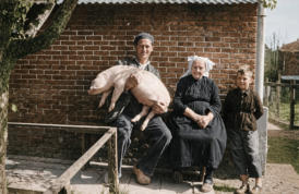 kaashoekgenealogie.nl