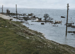 kaashoekgenealogie.nl