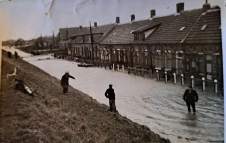 kaashoekgenealogie.nl