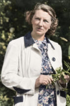 kaashoekgenealogie.nl